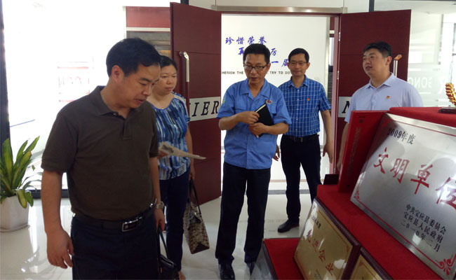 市委组织部调研成人抖音下载党支部工作室 市委组织部调研成人抖音下载党支部工作室